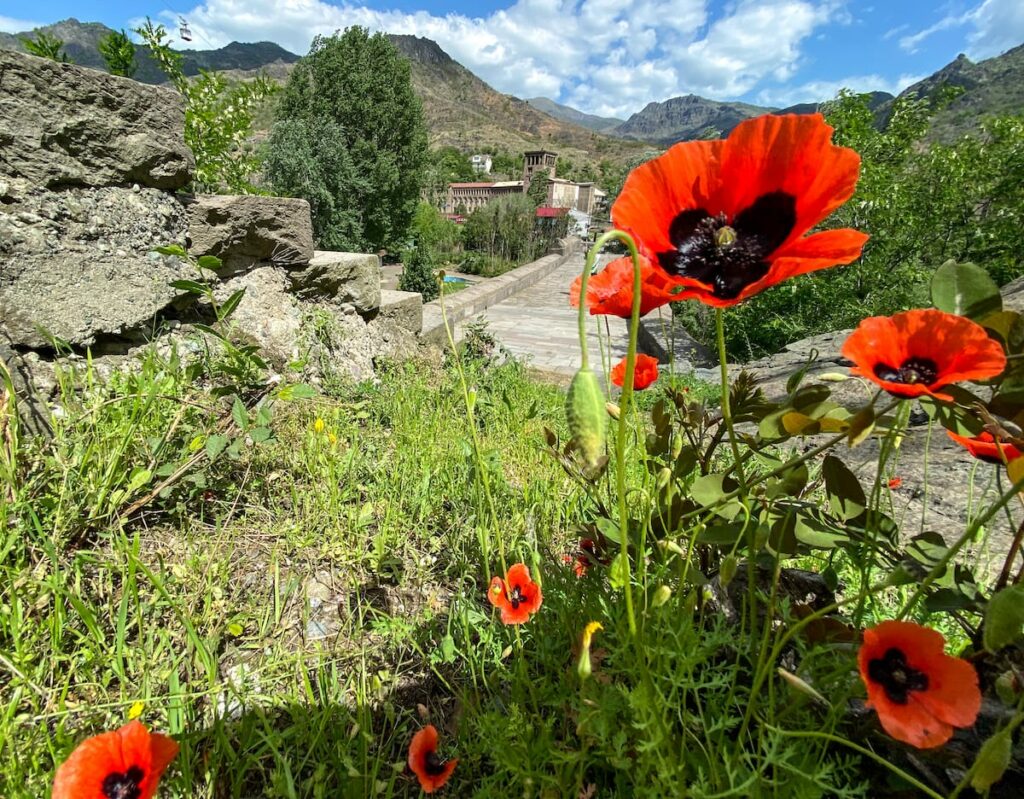 Best Time To Visit The Debed Canyon A Season By Season Guide