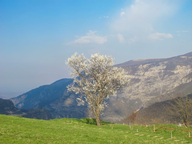 Visit Tatev Monastery- Complete Tatev Travel Guide (Syunik, Armenia)-13