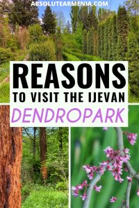 Ijevan Dendropark travel guide in Ijevan, Armenia (Tavush region) | #armenia #tavush #ijevan #arboretum #dendropark | Travel to Ijevan | Armenia Travel | Tavush Travel | Ijevan Arboretum | Visit Armenia | Places to visit in Armenia | North Armenia | Former USSR | Armenia photography | Ijevan Things to do