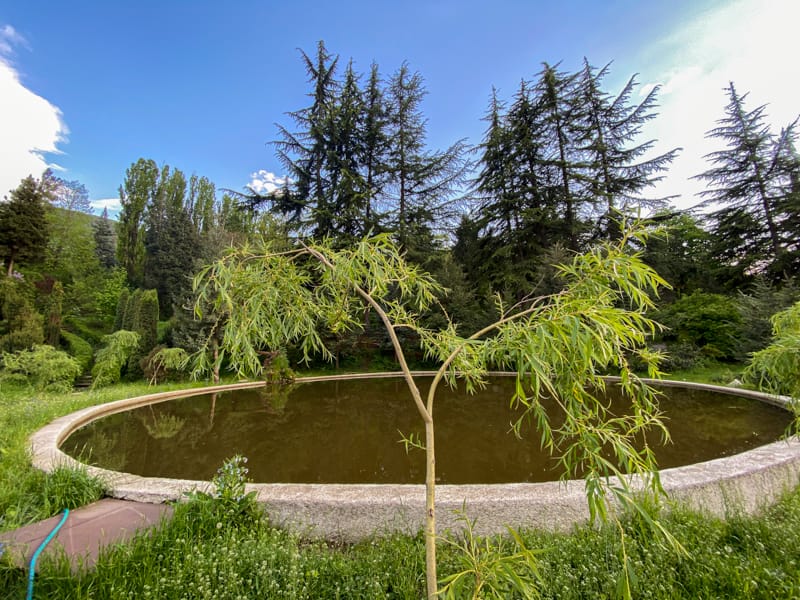 Ijevan Dendropark: A Natural Getaway in Beautiful Ijevan