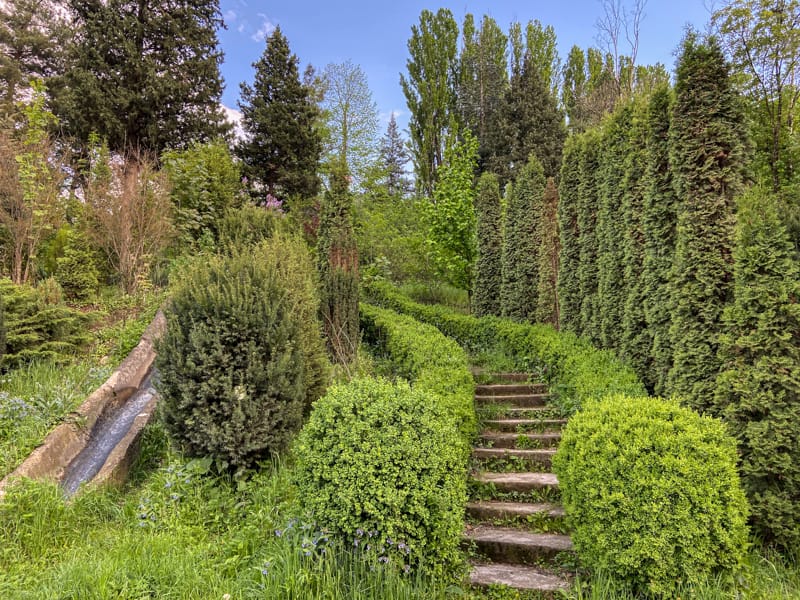 Ijevan Dendropark: A Must-Visit Arboretum in Ijevan