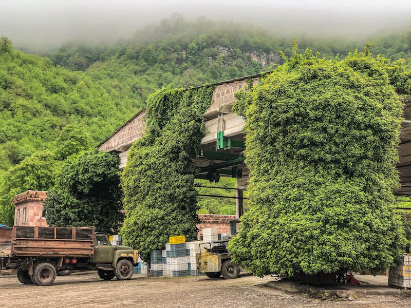 Ijevan Wine-Brandy Factory