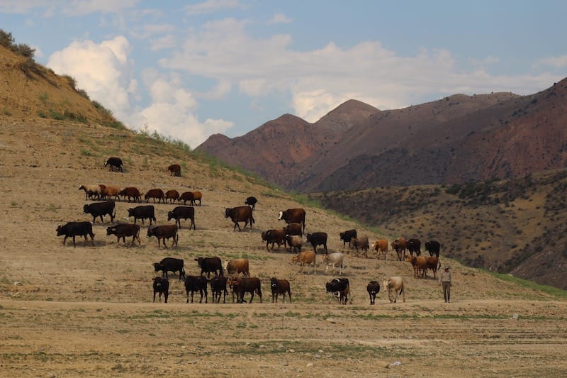 Azat Reservoir: Quick Travel Guide to an Unassuming Place