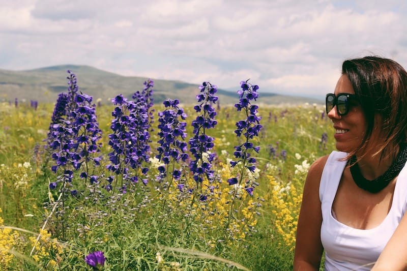 Wildflowers at Lake Arpi National Park in Armenia