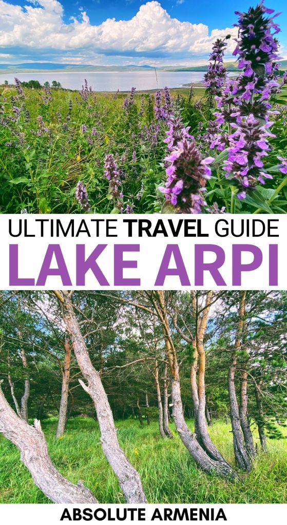 Are you planning to visit Lake Arpi National Park? This guide details how to visit, why you should travel there, and the many things to do at Lake Arpi. | Gyumri day trips | Things to do in Armenia | Armenia national parks | Lake Arpi hiking | Lake Arpi trails | What to do in Gyumri | Gyumri to Lake Arpi | Lake Arpi nature | Armenia wildlife | Armenia wildflowers | Places to visit in Armenia | Places to visit in Caucasus 