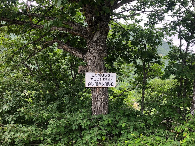 Arevik National Park in Armenia (Syunik)-12