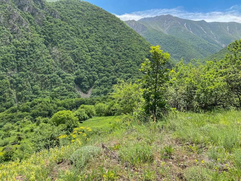 Arevik National Park in Armenia (Syunik)-12