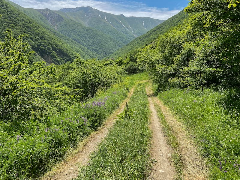 Arevik National Park in Armenia (Syunik)-12