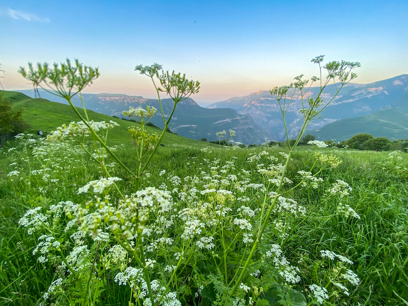 Things to do in Tatev