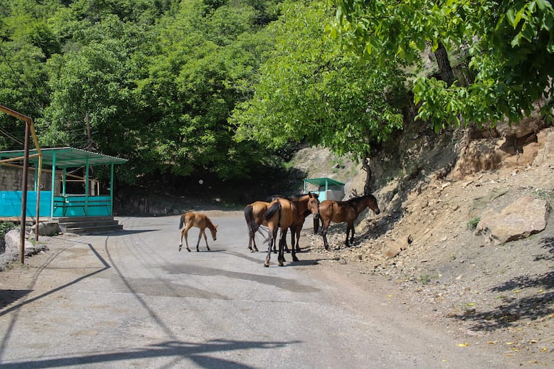 Khustup Guesthouse in Verin Vachagan-12