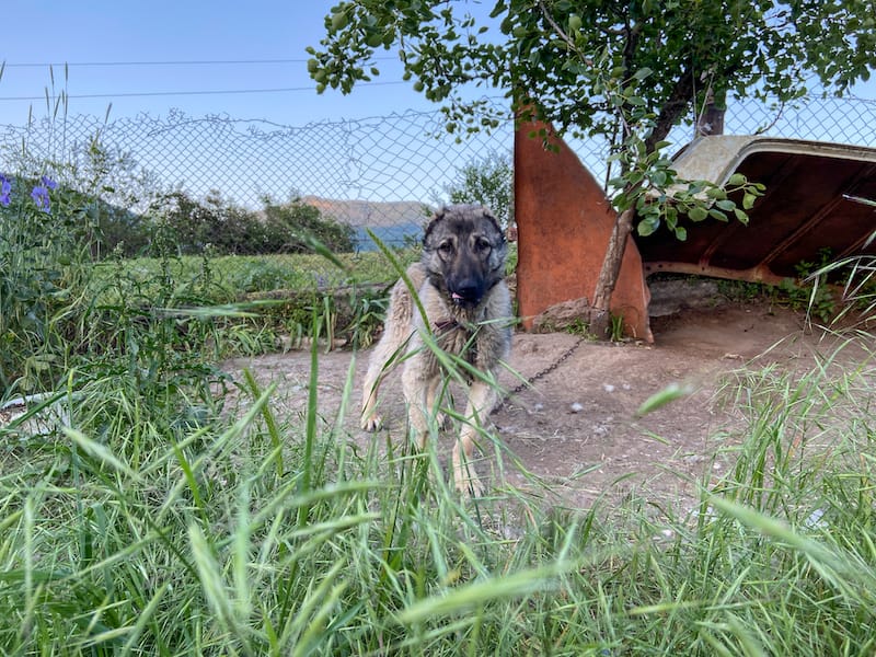 Verin Khotanan village in Syunik-6