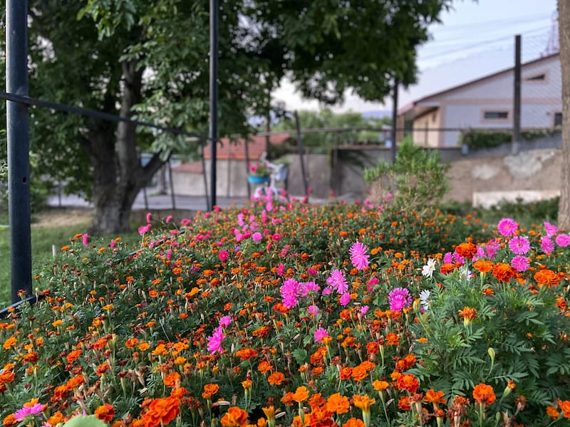 Under the Walnut Tree Guesthouse in Yeghegnadzor-16