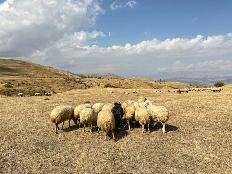 Old Martiros Hike in Vayots Dzor-23