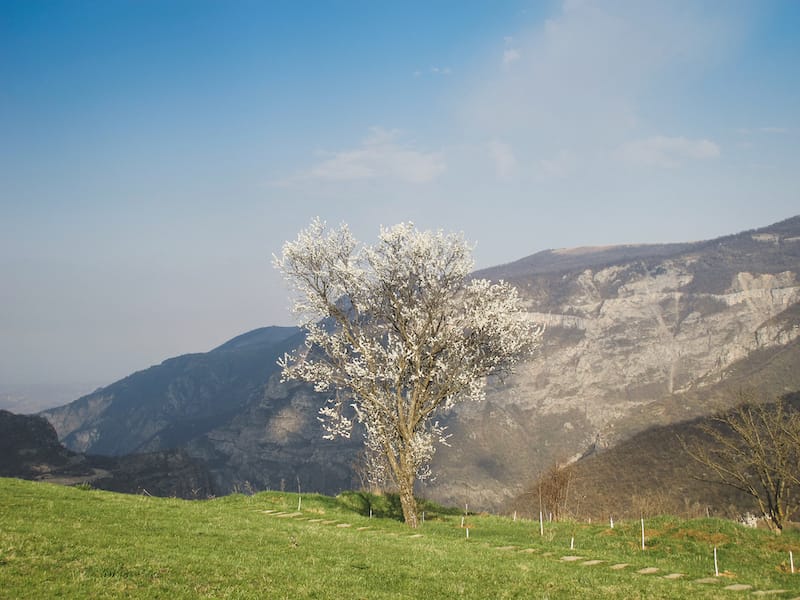 My first trip to Armenia was during spring - this is at Tatev Monastery