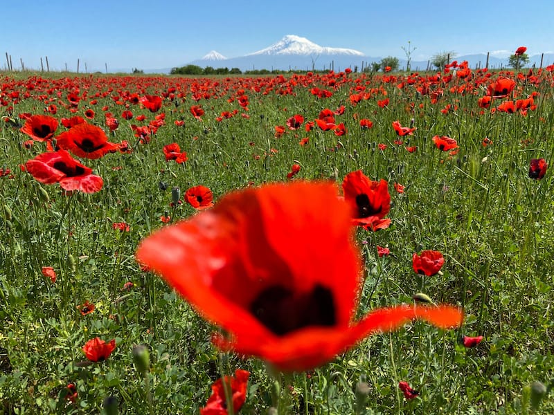 Armenia in spring