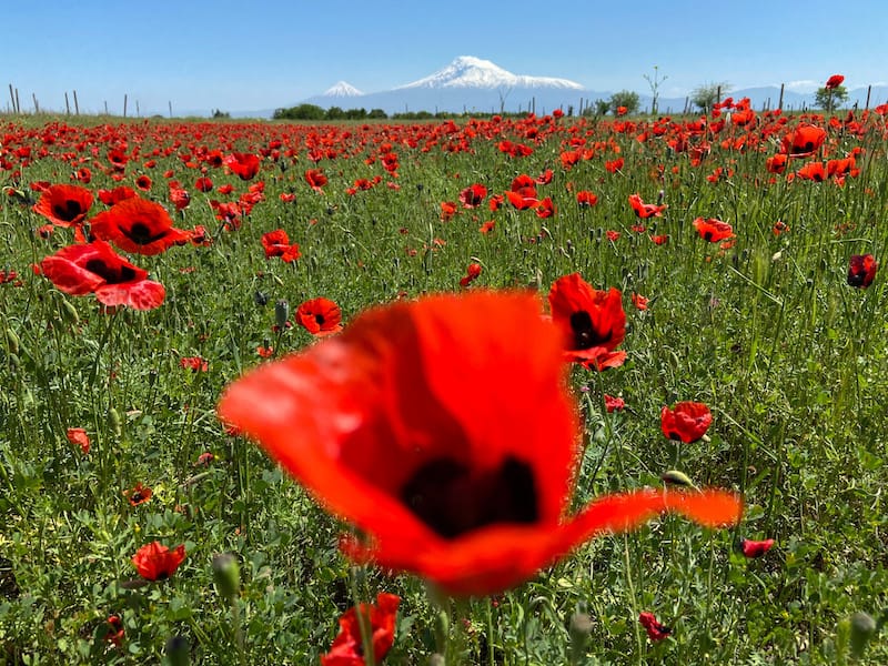 Best Time To Go To Armenia, Weather And Climate. 5 Months To Avoid!