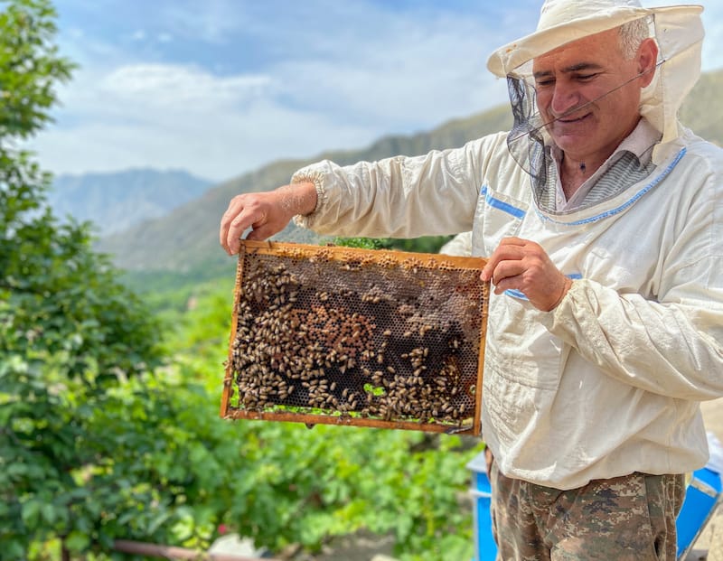Arthur the beekeeper in Shvani Dzor