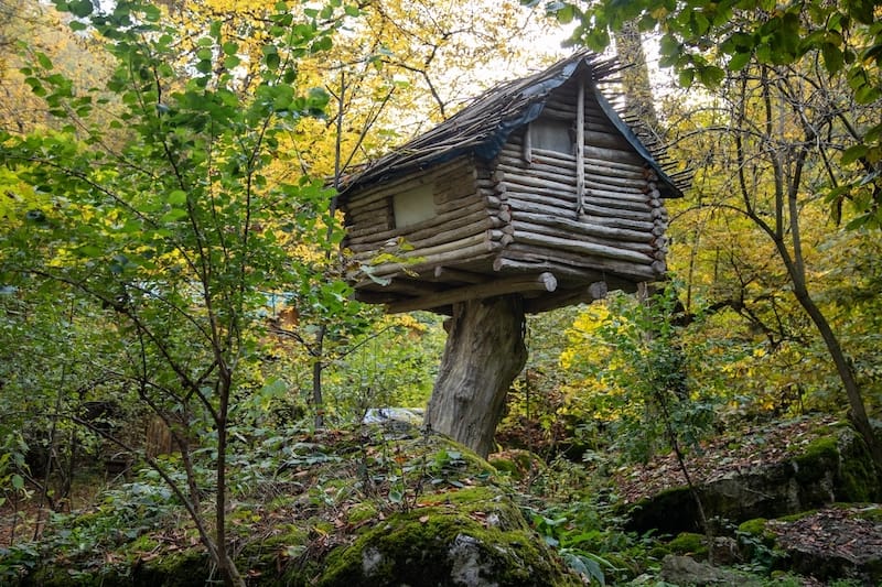 Lastiver Treehouse