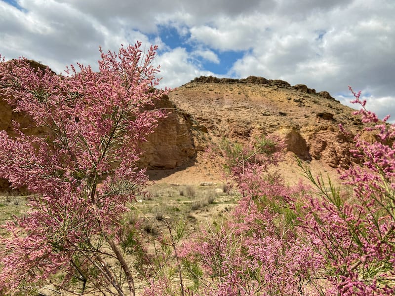 Springtime at Angelsʻ Canyon in Ararat marz