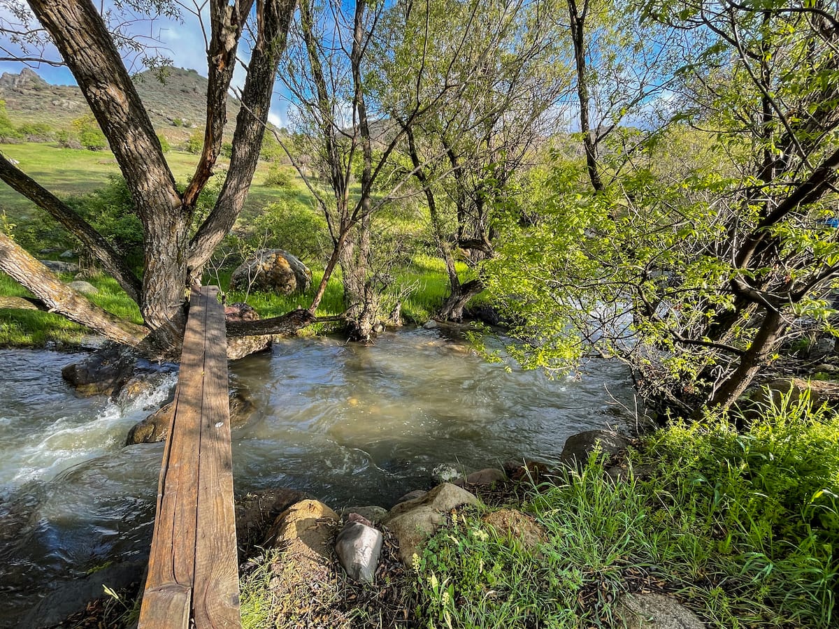 River by the Ranger Campus