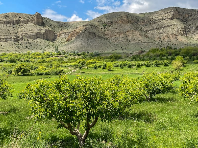 Caucasian Wildlife Refuge-19