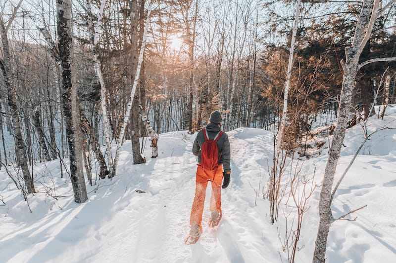 Snowshoeing in winter