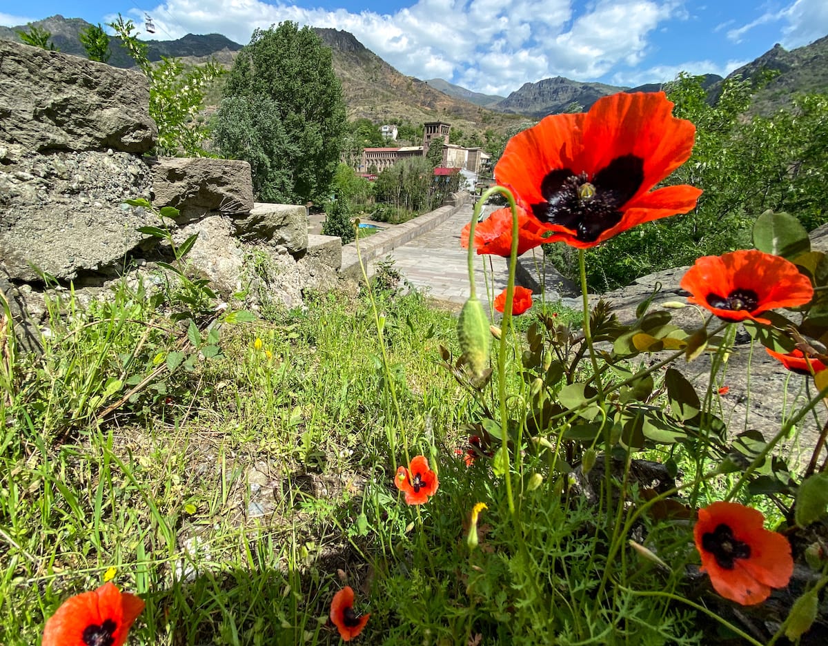 Along the Debed Canyon in spring