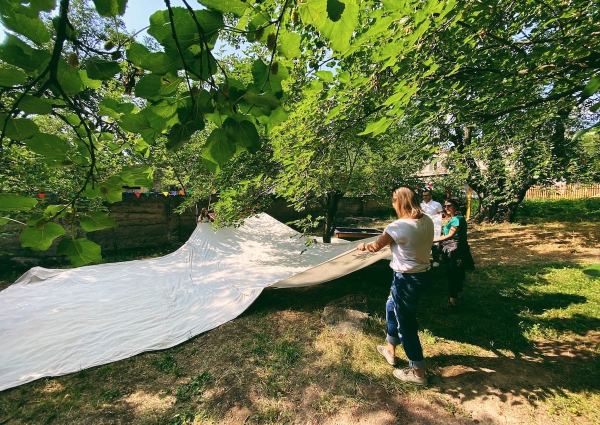 Harvesting mulberries in Syunik