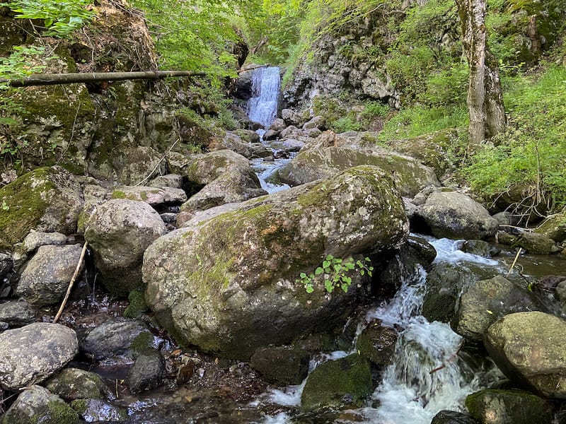 Dog's Waterfall