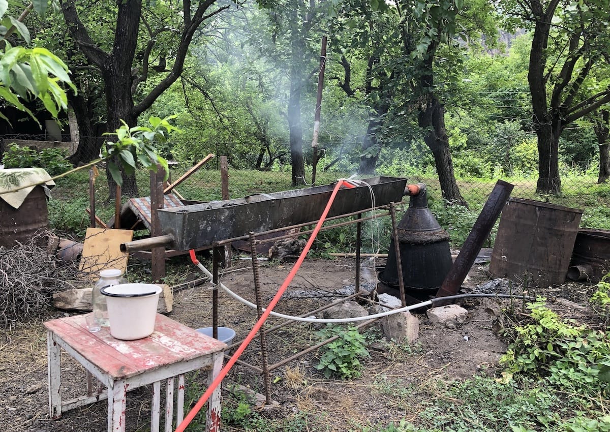 Putting Armenian mulberries to good use!