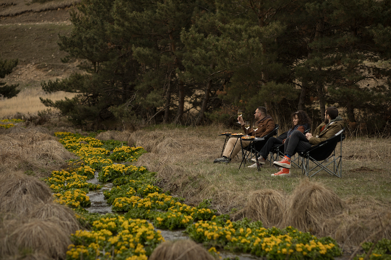 Mountain Therapy retreat in Armenia