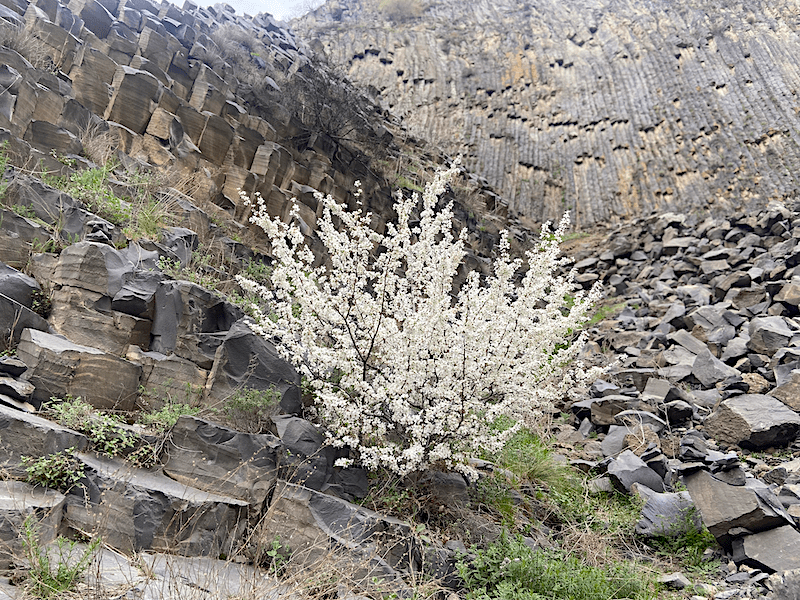 Symphony of Stones in Garni 