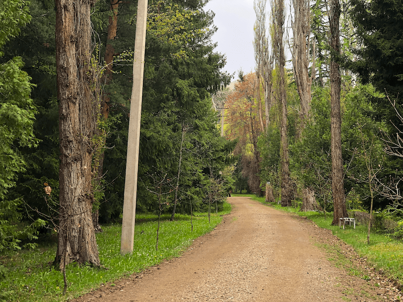 How to Visit in Stepanavan Dendropark