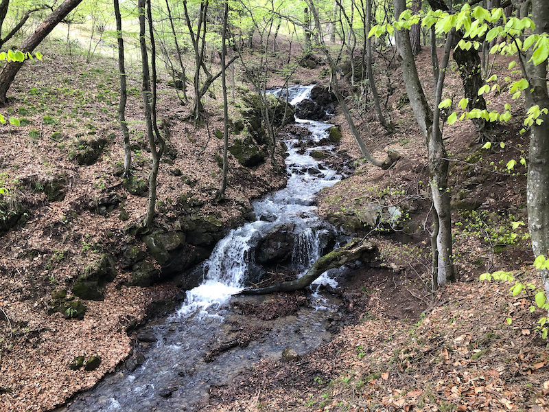 Waterfall in Stepanavan Dendropark