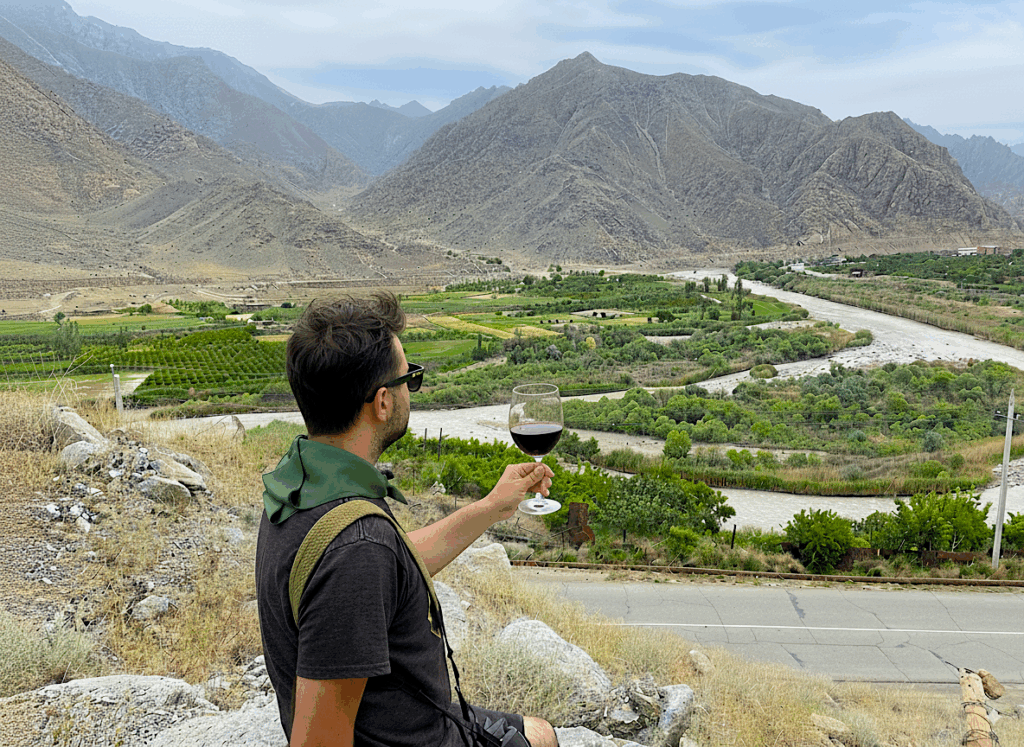 A person holding a glass of wine up in the mountains