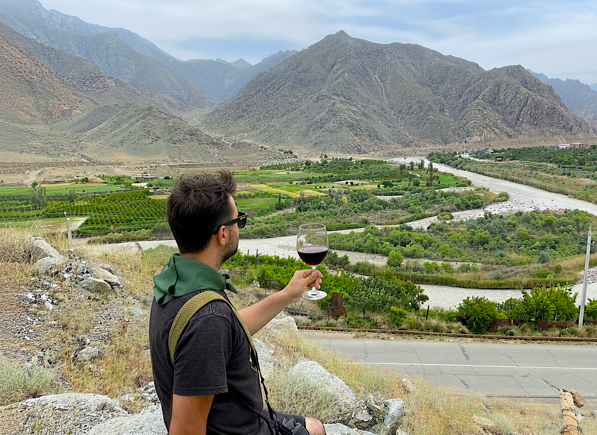 A person holding a glass of wine up in the mountains