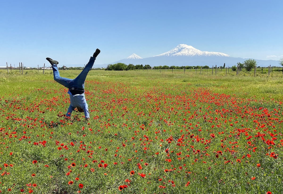 Ararat valley, Armenia